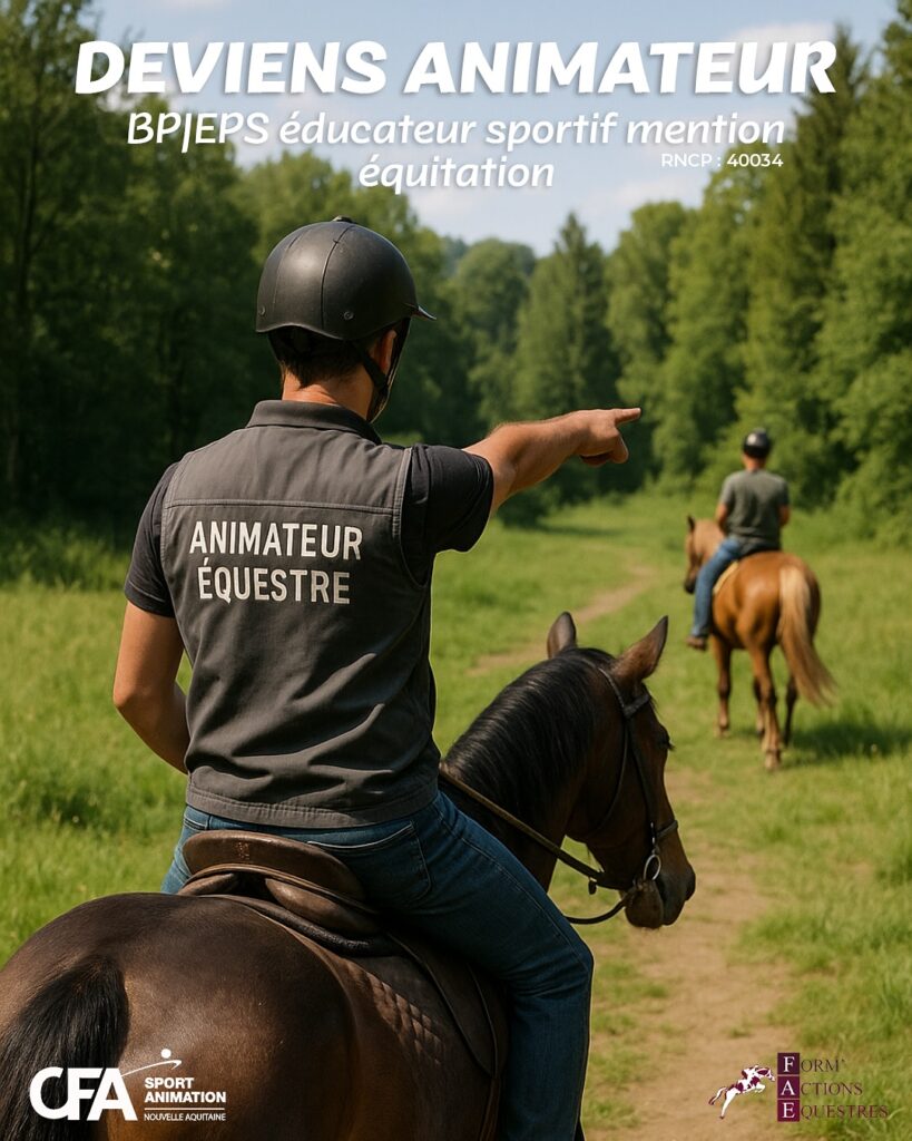 Lire la suite à propos de l’article Deviens Animateur équestre !
