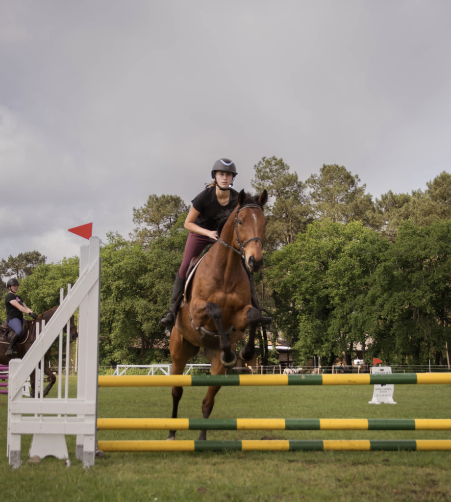 Lire la suite à propos de l’article Titre Pro Animateur d&rsquo;Equitation