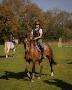 BPJEPS – Spécialité Educateur sportif mention Equitation